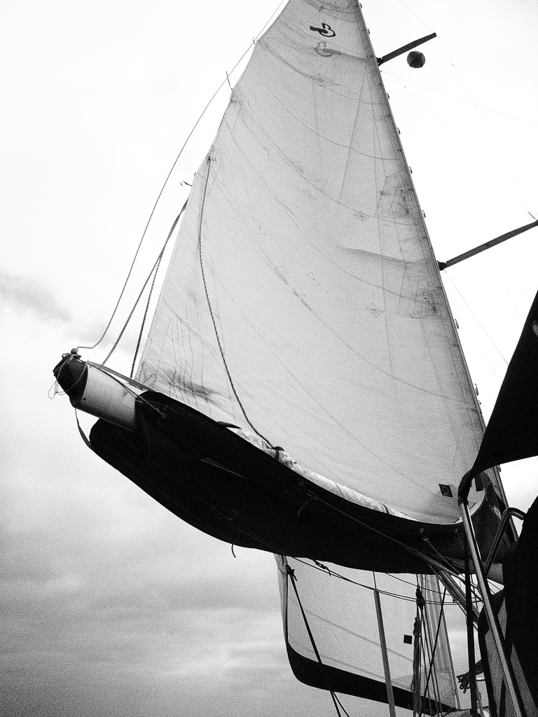 Honolulu's best private sailing charter