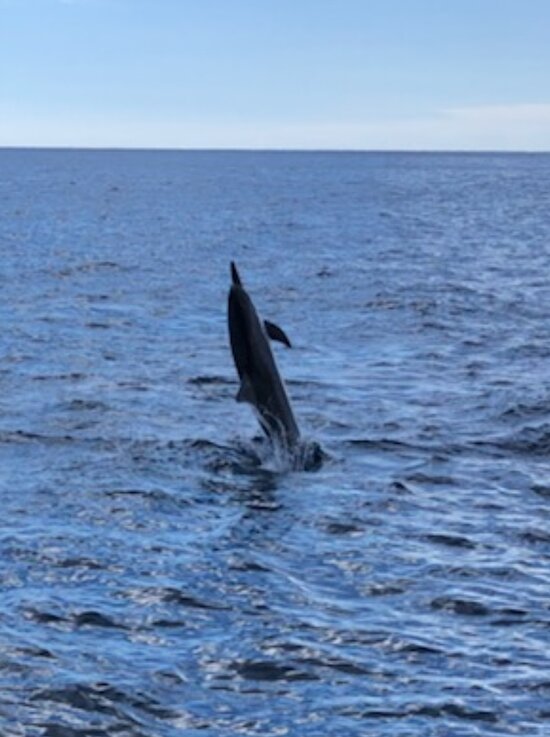 Oahu's Best Private Sailing Charter